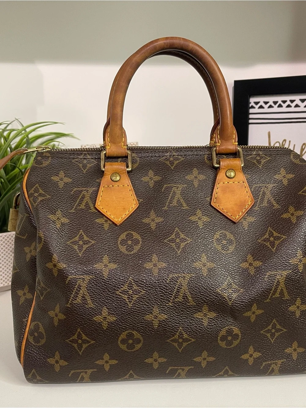 Louis Vuitton Monogram Speedy 25